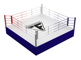 Профессиональный боксерский ринг (AIBA)